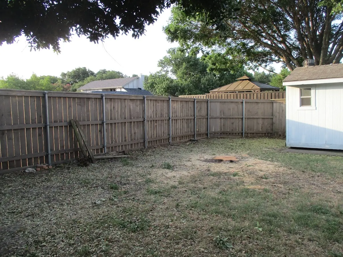 Cleared yard after professional tree removal in Halsey